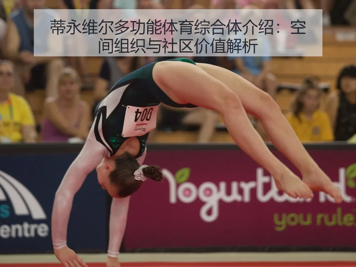 蒂永维尔多功能体育综合体介绍：空间组织与社区价值解析